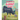 Guapo's Giant Heart: The True Story of the Calf Who Kept Growing