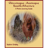 Chincoteague-Assateague Seaside Adventure: A Photo-Journey Guide