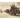 The Taking of Vimy Ridge: First World War Photographs of William Ivor Castle