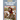 Ancient Romans