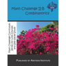 Math Challenge II-B Combinatorics