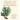 The Trees of North America: Michaux and Redouté's American Masterpiece (Tiny Folio)