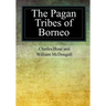 The Pagan Tribes of Borneo
