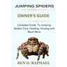 Jumping Spider: Complete Guide To Jumping Spiders Care, Feeding, Housing and Much More