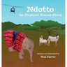 Ndotto: An Elephant Rescue Story