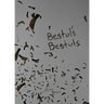 Bestul's Bestuls