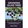 Growing Olive Tree: The Complete Guide to Success from Planting to Harvest
