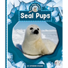Seal Pups