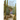 Death in a Desert Garden