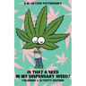 Is That A Seed In My Dispensary Weed? (Coloring & Activity Edition)