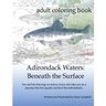 Adirondack Waters: Beneath the Surface
