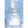 Forgotten Fragments