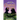 Creation's Couple