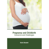 Pregnancy and Childbirth: Concerns and Challenges