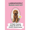 Labradoodle Training Made Easy: A Simple Program Using The Power Of Positive Reinforcement: How To Communicate With A Labradoodle Using Dog Language