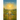 Eternal Eden: What If the World Knew No Sin