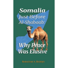 Somalia Just Before Al-Shabaab: Why Peace Was Elusive