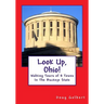 Look Up, Ohio!: Walking Tours of 8 Towns In The Buckeye State