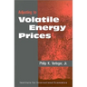 Adjusting to Volatile Energy Prices