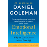 Emotional Intelligence: Why It Can Matter More Than IQ
