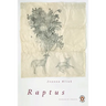 Raptus