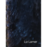 Liz Larner