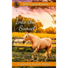 Into the Sunset: 2018 Contest Winners