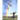Experiencing Joy