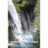 Waterfalls of Therapy