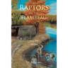 Raptors on the Flambeau: Book Two: Teen Years