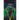 Parijat: The Wish Fulfilling Tree