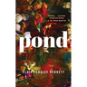 Pond