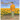Marigolds and my Pa