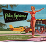 Palm Springs Holiday: A Vintage Tour from Palm Springs to the Saltan Sea