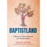 Baptistland: A Memoir of Abuse, Betrayal, and Transformation