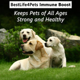 Dog Allergy & Immune Support Supplement by BestLife4Pets