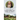 The Story of Chalmers of New Guinea