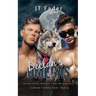 Declan's Omegas: An Urban Fantasy MMM Wolf Shifter MPreg Romance