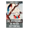 The Adventures of Peter Cottontail: Children's Bedtime Storybook