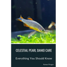 Celestial Pearl Danio Care: Everything You Should Know