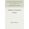 Guide to Eastern Ferns