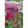 Wildflowers of Zion National Park