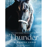 Thunder the Wonder Horse