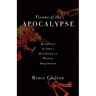 Visions of the Apocalypse: Receptions of John's Revelation in Western Imagination