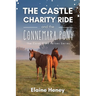 The Castle Charity Ride and the Connemara Pony - The Coral Cove Horses Series