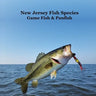 New Jersey Game Fish and Panfish Species Kids Book: Great Book About the Different Types of Fish in New Jersey