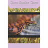 Corn Snake Care: The Complete Guide to Caring for and Keeping Corn Snakes as Pets