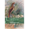 The Cambridge Companion to John Clare