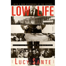 Low Life: Lures and Snares of Old New York