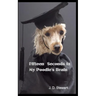 Fifteen seconds in My Poodle's Brain